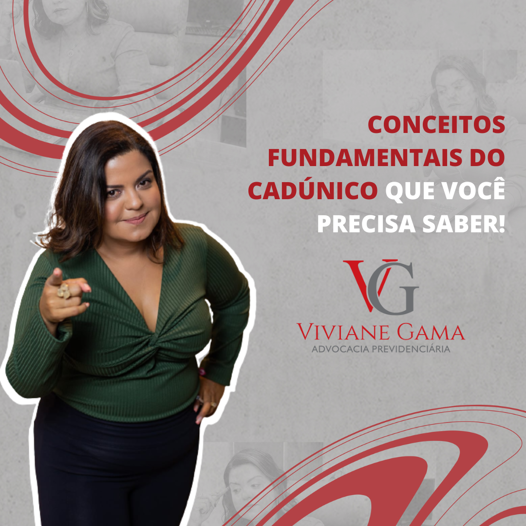 Conceitos Fundamentais Do CadÚnico Que Você Precisa Saber Viviane Gama 0337